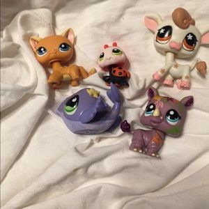 BOGO 1/2 off ||| LittlestPetShop